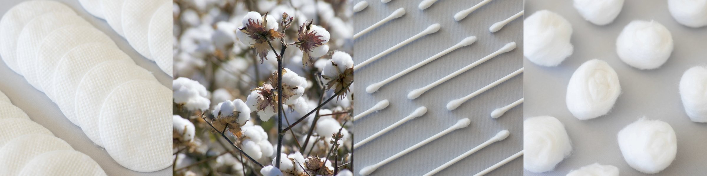 COTTON PRODUCTS BANNER